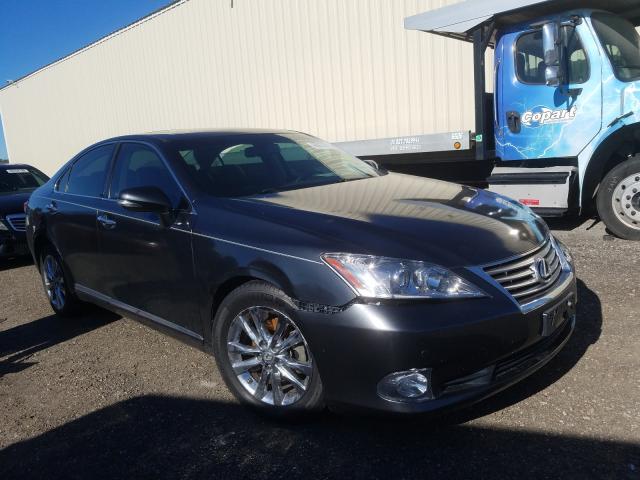 LEXUS ES 350 2010 jthbk1eg8a2374116