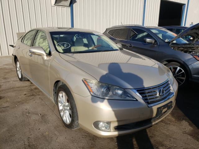 LEXUS ES 350 2010 jthbk1eg8a2375802