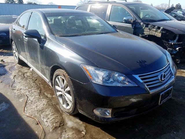 LEXUS ES 350 2010 jthbk1eg8a2376240