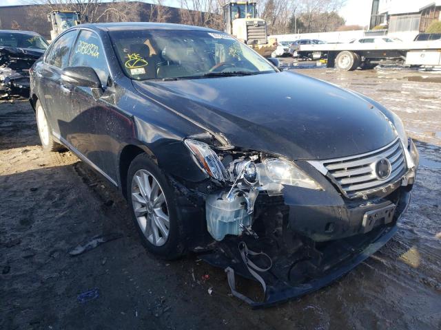 LEXUS ES 350 2010 jthbk1eg8a2376612