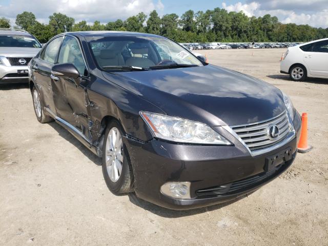 LEXUS NULL 2010 jthbk1eg8a2377369