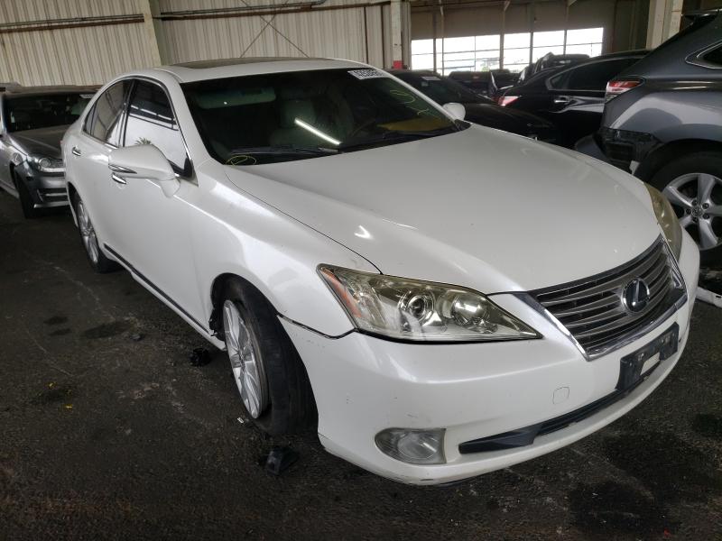 LEXUS ES 350 2010 jthbk1eg8a2380451