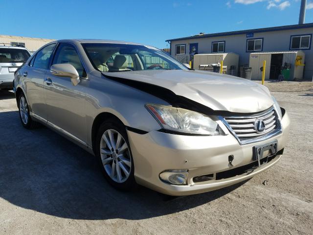 LEXUS ES 350 2010 jthbk1eg8a2383589