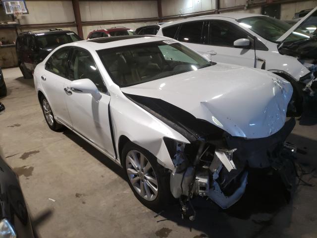 LEXUS ES 350 2010 jthbk1eg8a2384919