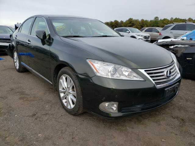 LEXUS ES 350 2010 jthbk1eg8a2385780