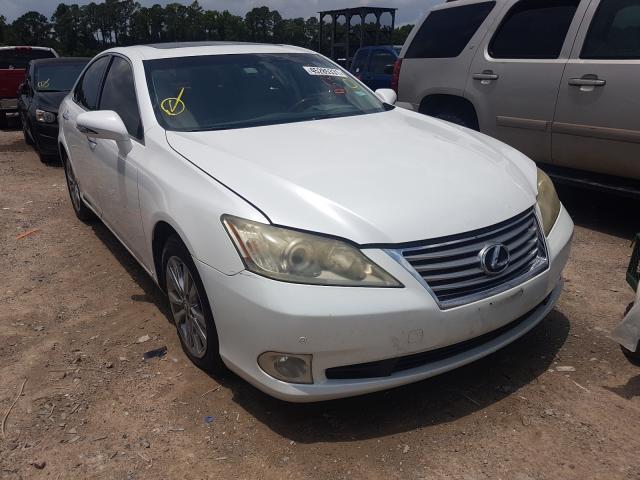 LEXUS ES 350 2010 jthbk1eg8a2387318