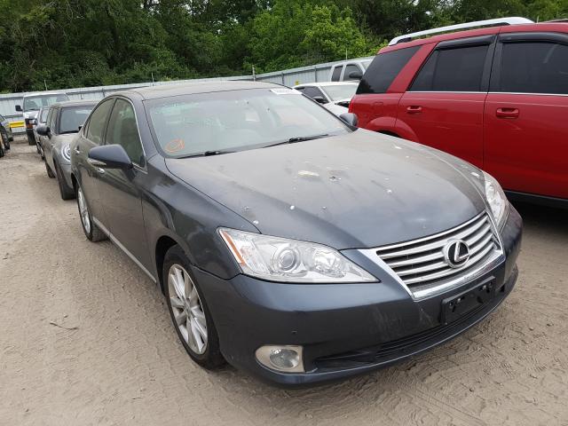 LEXUS ES 350 2010 jthbk1eg8a2388226