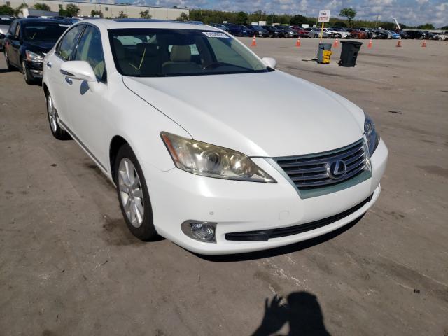 LEXUS ES 350 2010 jthbk1eg8a2391921