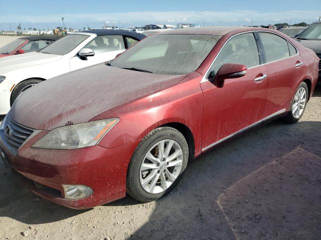 LEXUS ES 350 2010 jthbk1eg8a2393250