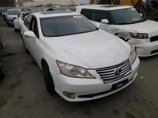 LEXUS ES 350 2010 jthbk1eg8a2397041