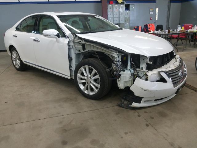 LEXUS ES 350 2010 jthbk1eg8a2397556