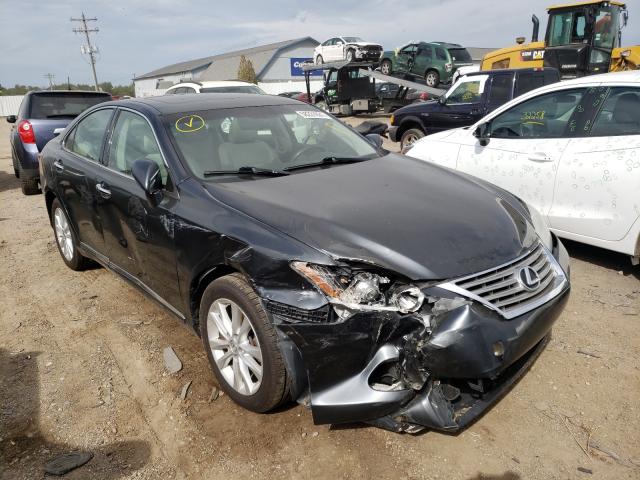 LEXUS ES 350 2010 jthbk1eg8a2398951