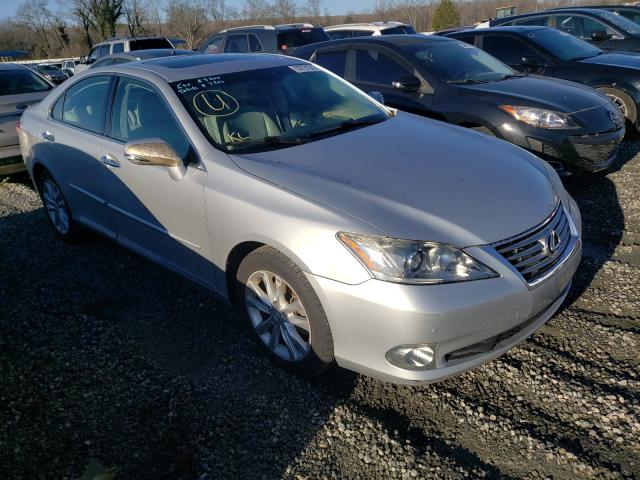 LEXUS ES 350 2010 jthbk1eg8a2399775