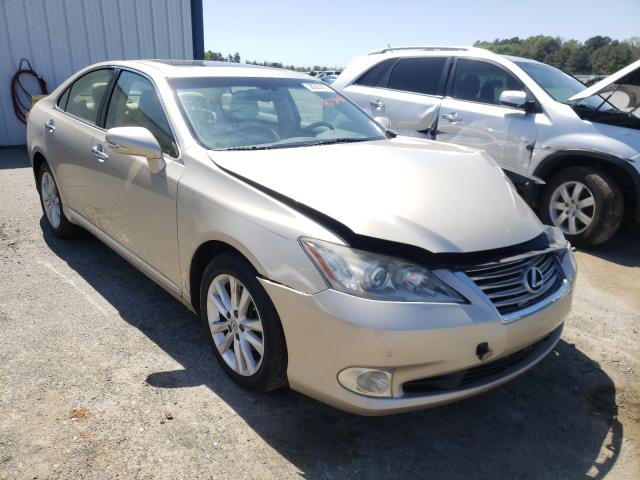 LEXUS ES 350 2010 jthbk1eg8a2403646