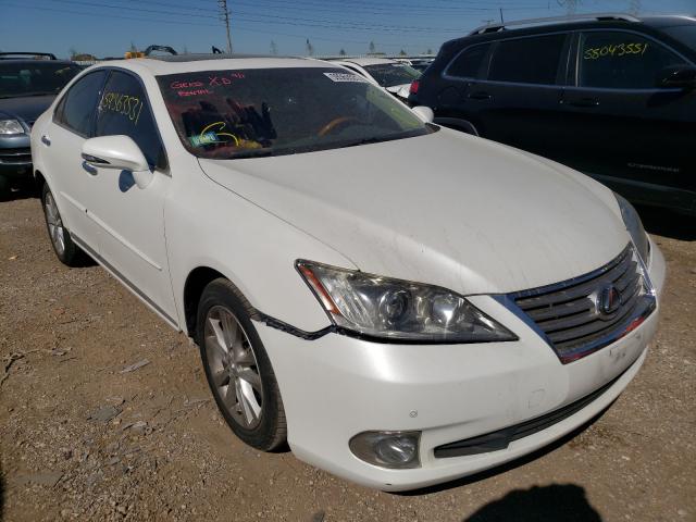 LEXUS ES 350 2010 jthbk1eg8a2404005