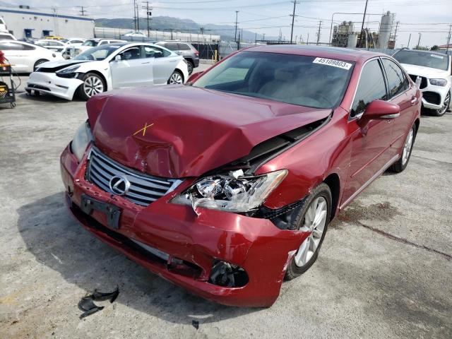 LEXUS ES 350 2010 jthbk1eg8a2406742