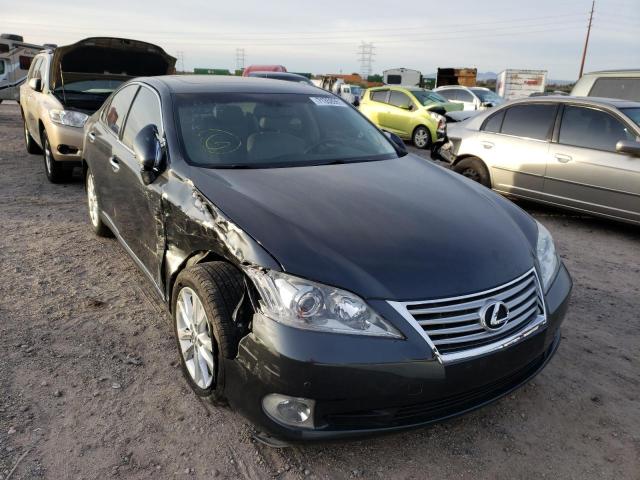 LEXUS ES 350 2010 jthbk1eg8a2406837