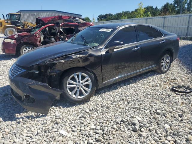 LEXUS ES 350 2010 jthbk1eg8a2407194