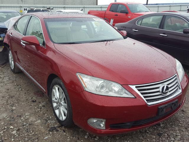 LEXUS ES 350 2010 jthbk1eg8a2407468