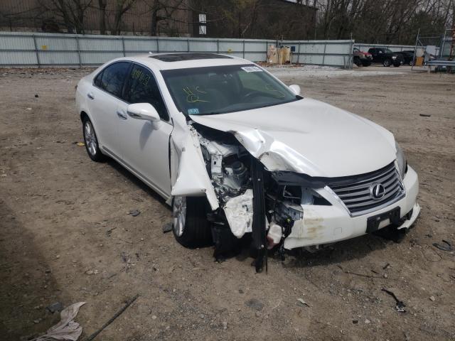 LEXUS ES 350 2010 jthbk1eg8a2411178