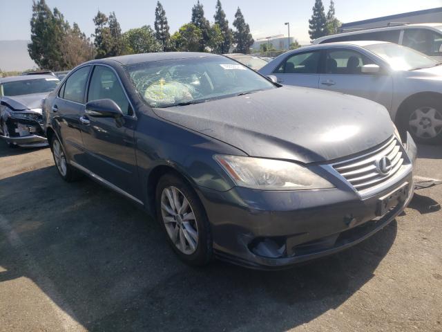 LEXUS ES 350 2010 jthbk1eg8a2412296