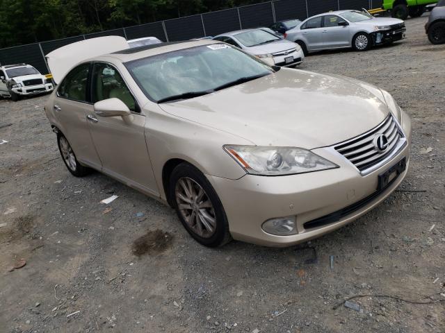 LEXUS ES 350 2011 jthbk1eg8b2420092