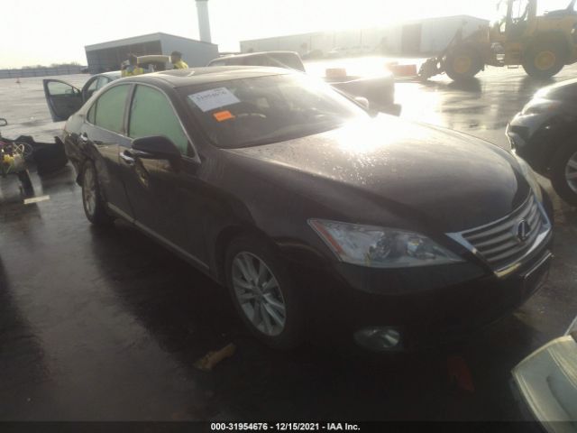 LEXUS ES 350 2011 jthbk1eg8b2458339