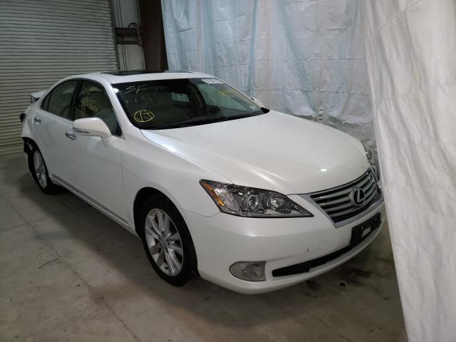 LEXUS ES 350 2011 jthbk1eg8b2470247