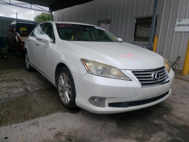 LEXUS ES 350 2010 jthbk1eg9a2343358