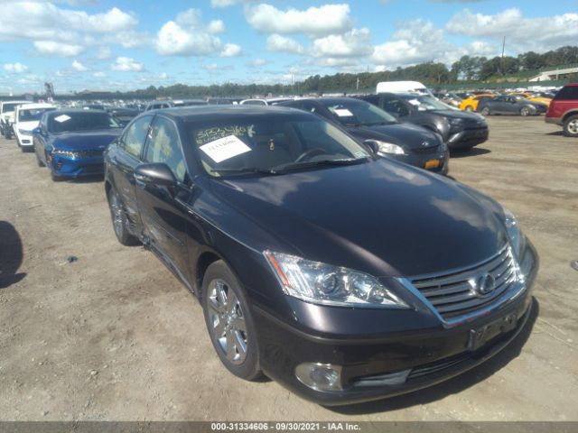 LEXUS ES 350 2010 jthbk1eg9a2345448