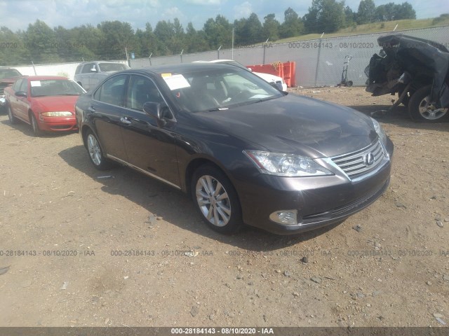 LEXUS ES 350 2010 jthbk1eg9a2350651