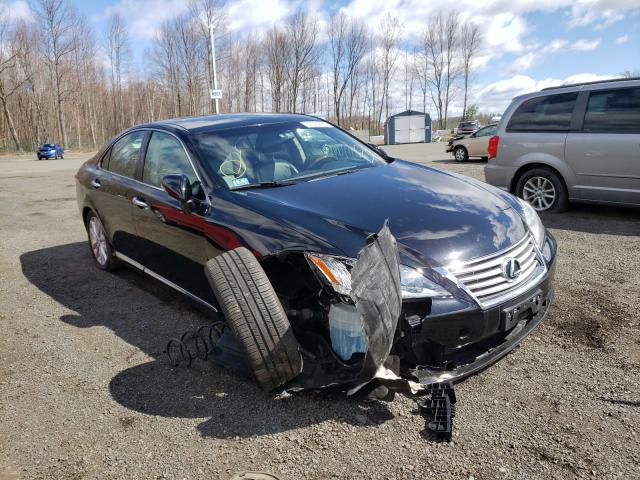 LEXUS ES 350 2010 jthbk1eg9a2351184