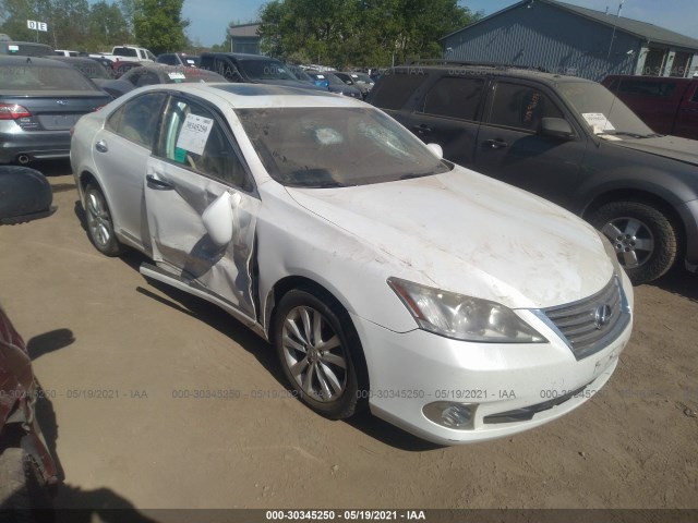 LEXUS ES 350 2010 jthbk1eg9a2352240