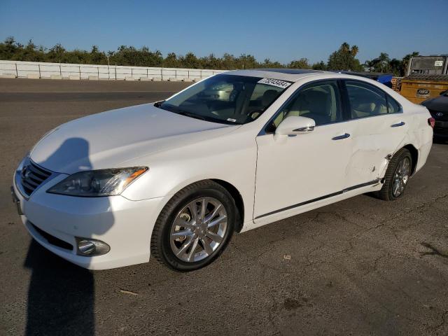 LEXUS ES 350 2010 jthbk1eg9a2356160