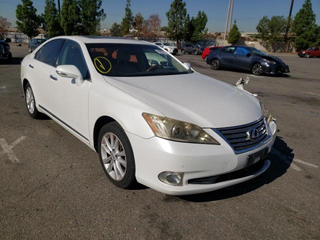 LEXUS ES 350 2010 jthbk1eg9a2361973