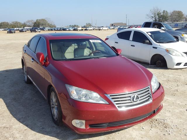 LEXUS ES 350 2010 jthbk1eg9a2363299