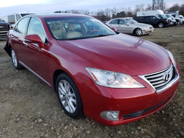 LEXUS ES 350 2010 jthbk1eg9a2364288