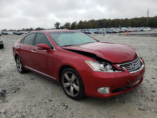 LEXUS ES 350 2010 jthbk1eg9a2364565