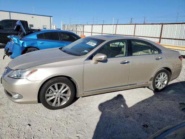 LEXUS ES350 2010 jthbk1eg9a2366798