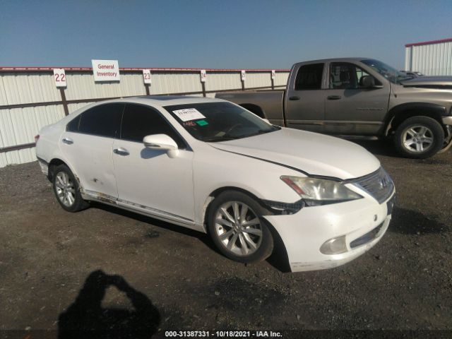 LEXUS ES 350 2010 jthbk1eg9a2368888