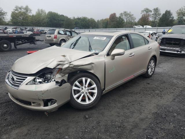 LEXUS ES 350 2010 jthbk1eg9a2369698