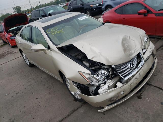 LEXUS ES 350 2010 jthbk1eg9a2371046