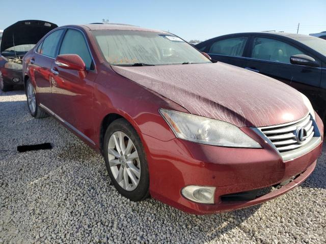 LEXUS ES 350 2010 jthbk1eg9a2373198