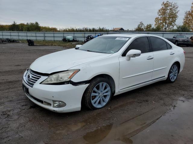 LEXUS ES 350 2010 jthbk1eg9a2374142