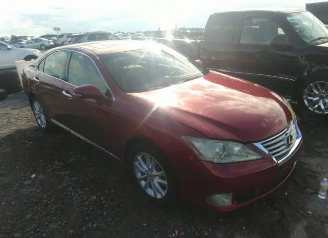 LEXUS ES 350 2010 jthbk1eg9a2374237