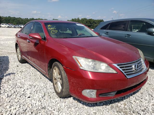 LEXUS ES 350 2010 jthbk1eg9a2374495