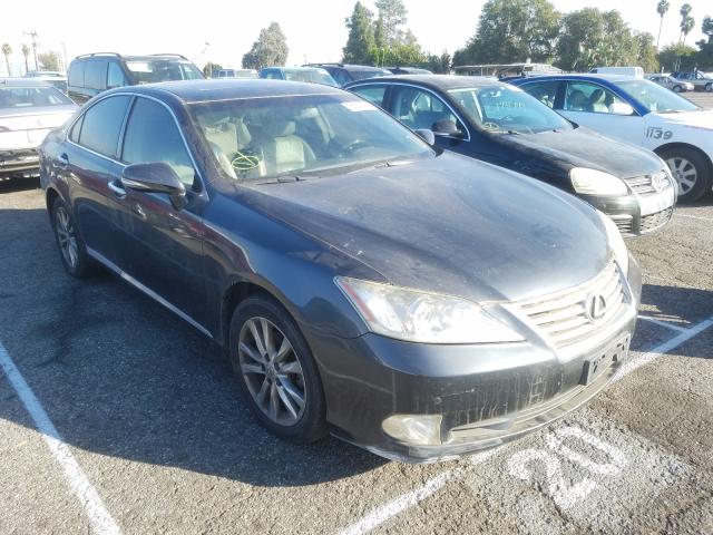 LEXUS ES 350 2010 jthbk1eg9a2375145