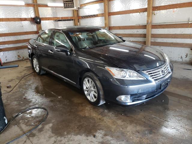 LEXUS ES 350 2010 jthbk1eg9a2380166