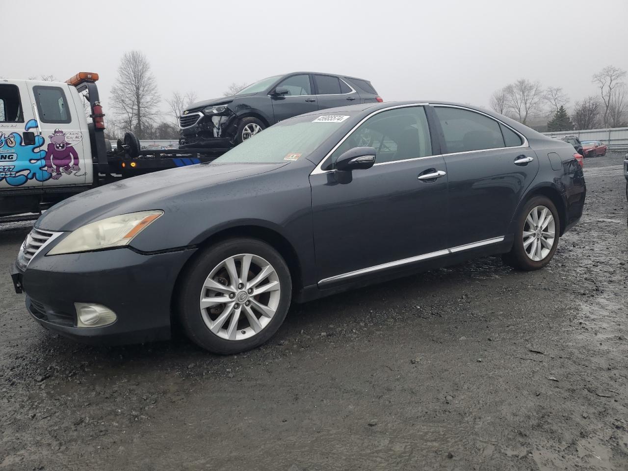 LEXUS ES 2010 jthbk1eg9a2381012