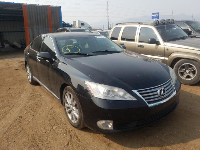 LEXUS ES 350 2010 jthbk1eg9a2381477